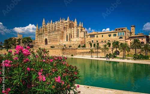 Spain - Pink flowers at the cathedral - Palma de Mallorca
