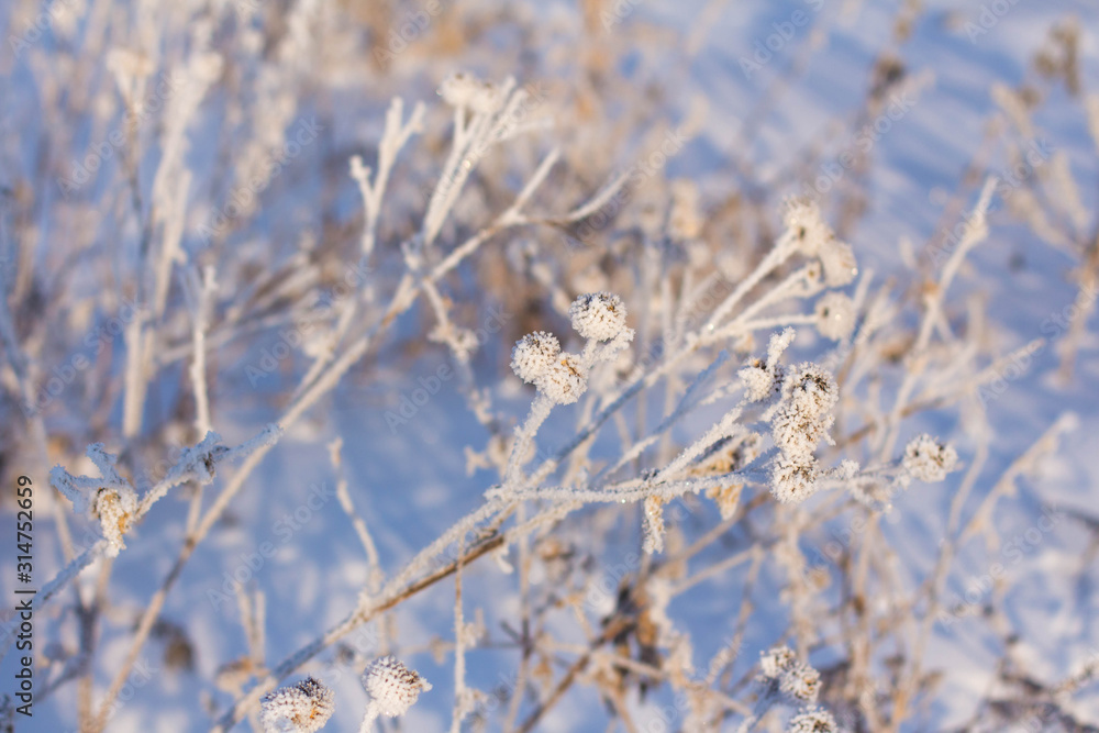 Winter white hoarfrost on trees, houses and streets