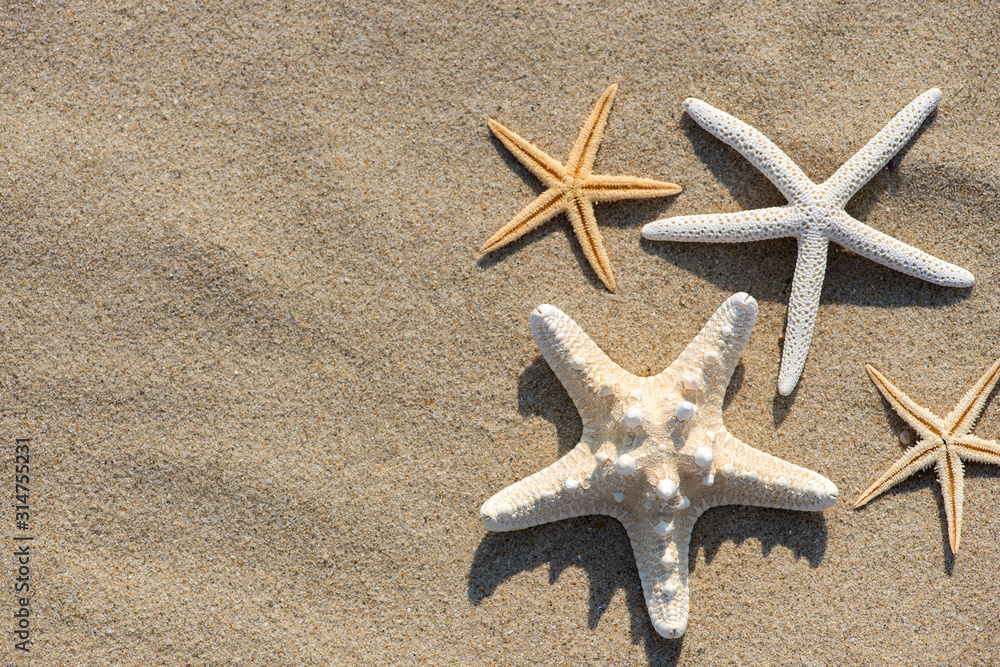 Summer vacation concept starfish on sandy tropical beach - selective focus, top view, copy space Summer vacation concept starfish on sandy tropical beach - selective focus, top view, copy space