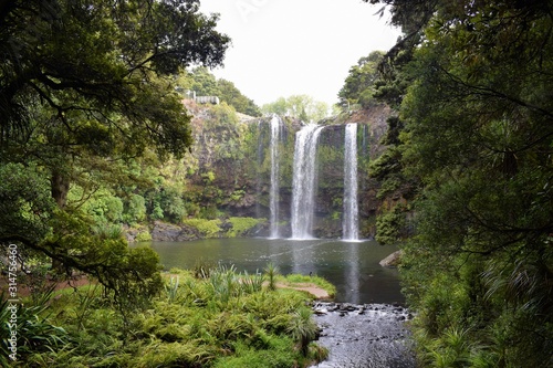 Watterfalls in Whangarei, New Zealand photo