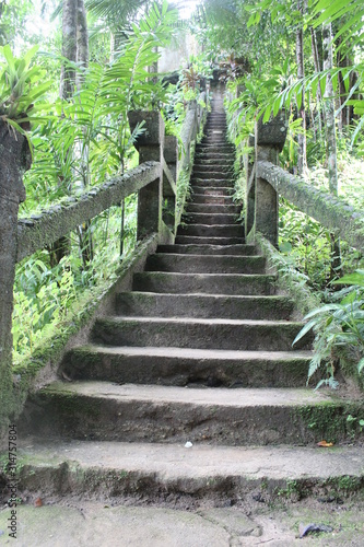 Paronella Park Grand Staircase