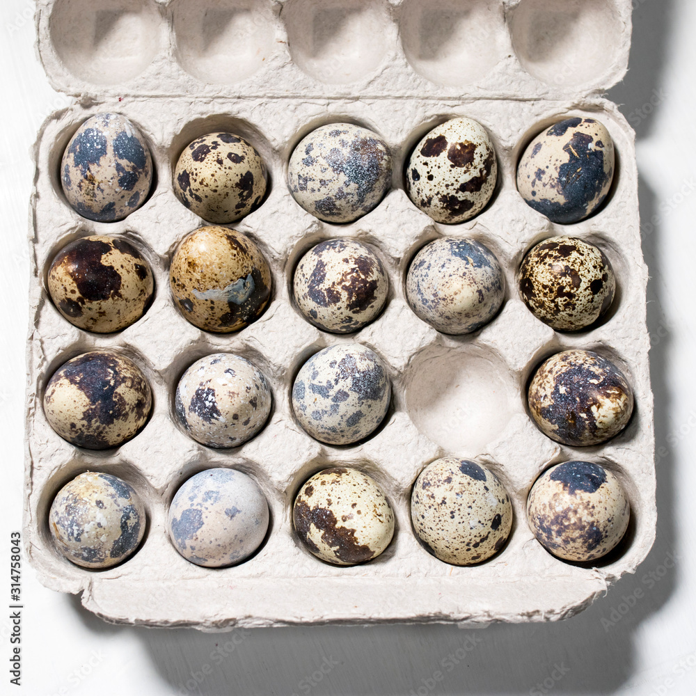 quail eggs in box on a white background copy space quail eggs in box on a white background copy space