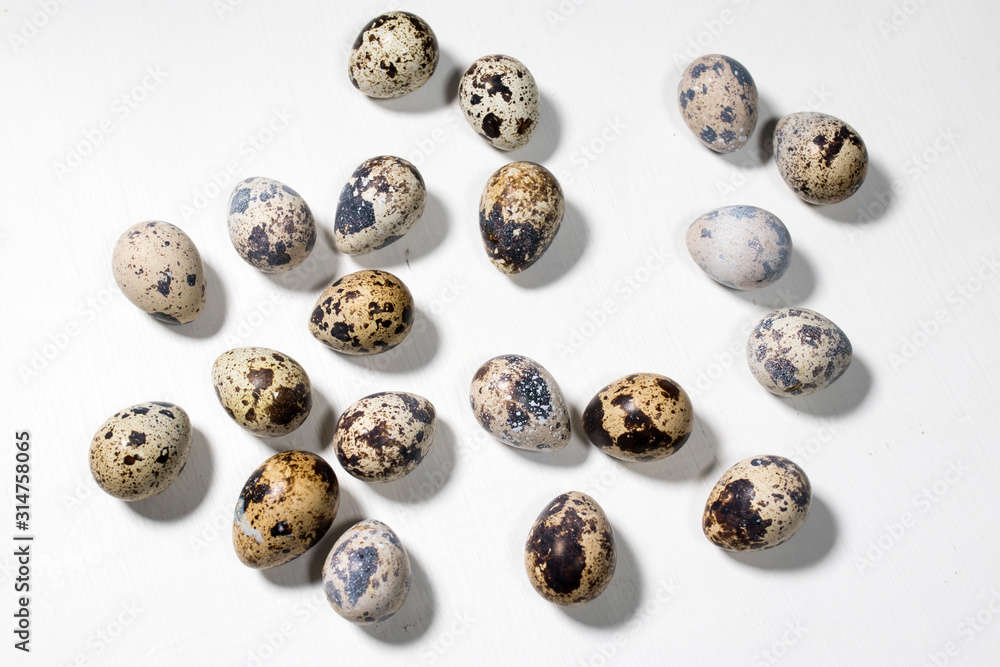 Fototapeta premium Quail eggs on white background. Eggs quail spotted small on white background.