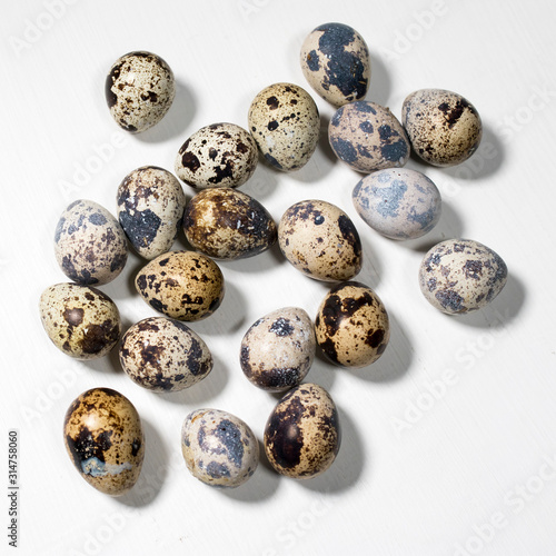 Quail eggs on white background. Eggs quail spotted small on white background.