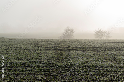 Nebel über Wiesen und Felder am Stadtrand von Bünde in Ostwestfalen