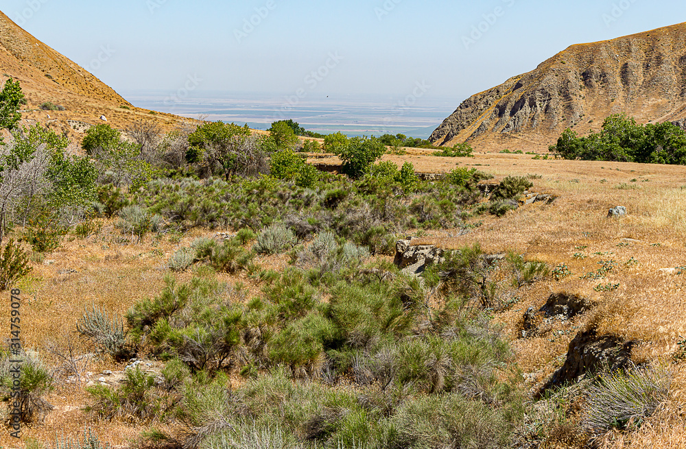 Fototapeta premium scrub desert vista with layers of ecosystems with canyon