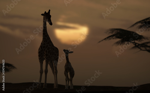 Father and son giraffe taking a walk together 3d rendering photo