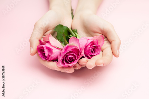 International Womans day and Happy Valentines, Mothers day concept. The woman hands hold rose flowers on a pink background. A thin wrist and natural manicure.