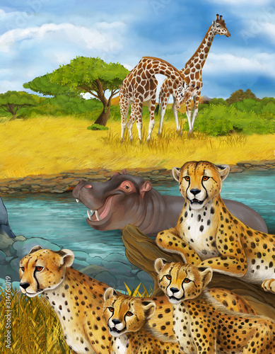 cartoon scene with cheetah resting and hippo swimming illustration for children