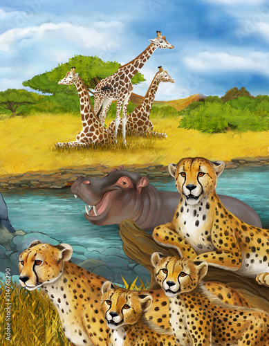 cartoon scene with cheetah resting and hippo swimming illustration for children