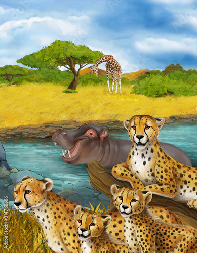 cartoon scene with cheetah resting and hippo swimming illustration for children