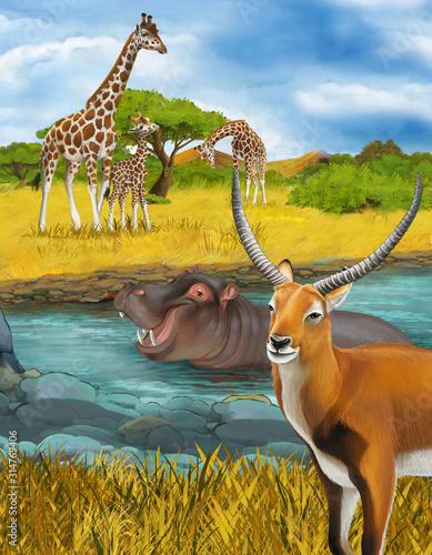 cartoon scene with hippopotamus hippo in the river near the meadow giraffes and antelope illustration for children