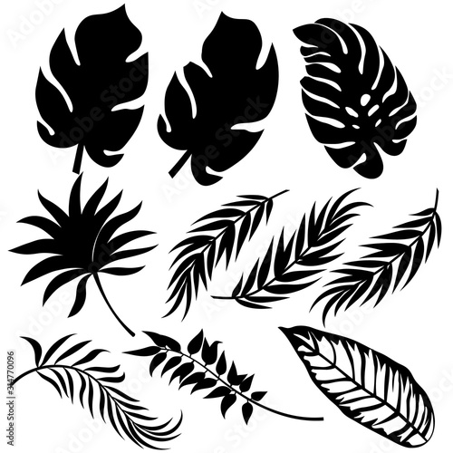 Set template for cutting. Palm leaves pattern. Laser cut. Vector illustration.