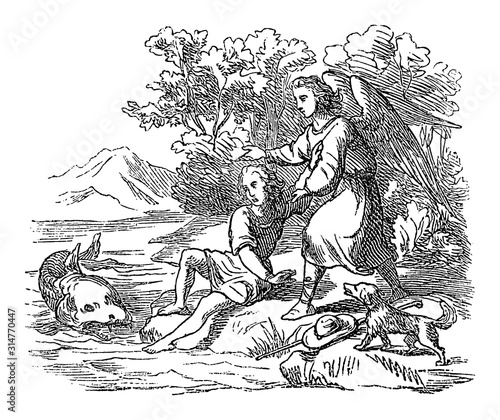 Vintage drawing or engraving of biblical story of Tobias and angel Raphael and the fish to cure his father.Bible, Old Testament, Jonah 2. Biblische Geschichte , Germany 1859.
