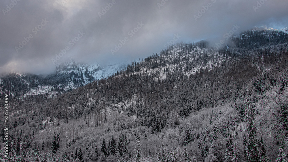 wood winter cold alps bavaria