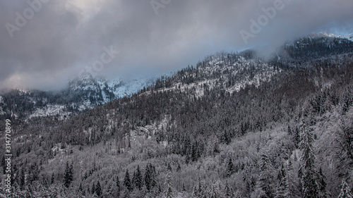 wood winter cold alps bavaria