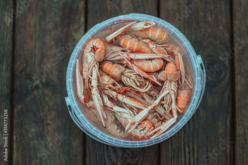 Freshly boiled swedish shrimps in a bucket from a fisherman on Vrångö island. photo