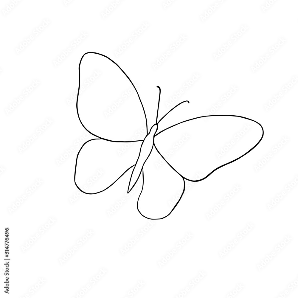A hand drawn butterfly simple vector outline illustration, contour ...
