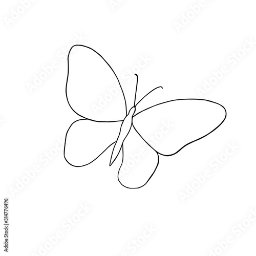 A hand drawn butterfly simple vector outline illustration, contour drawing in doodle style, symbol of summer and nature