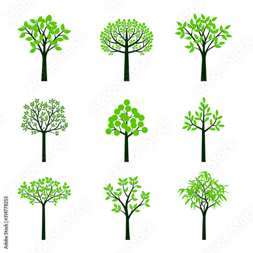 Set od Green vector Trees. Roots and Leaves. Plant in garden.