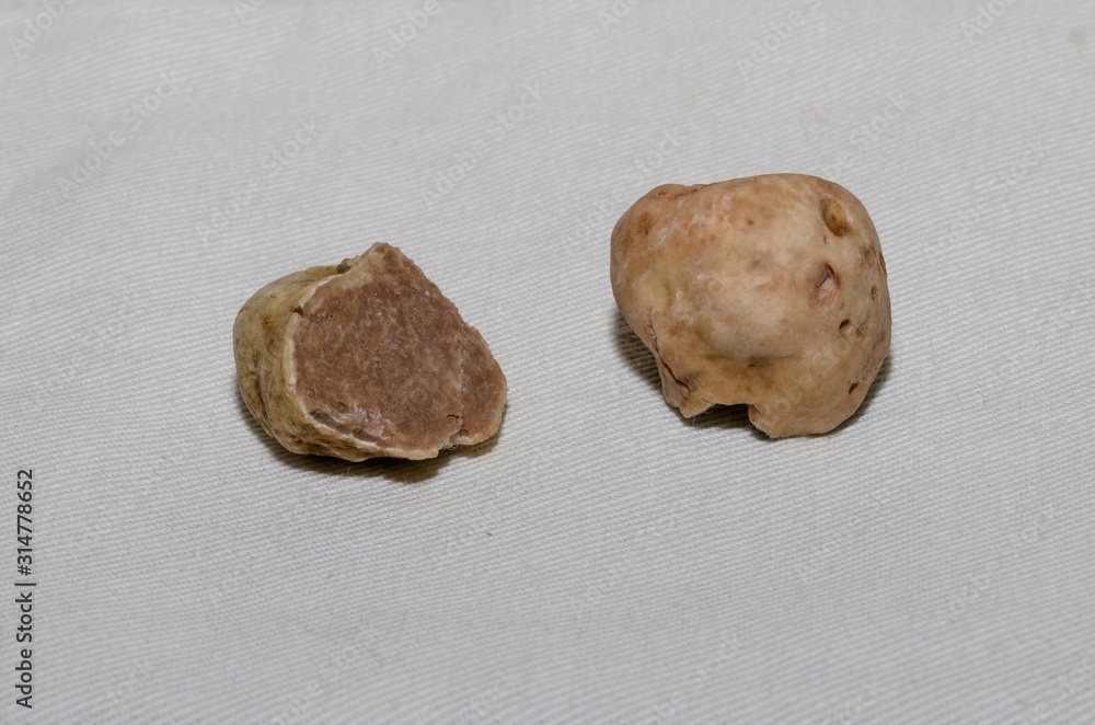 Specimen of fine white truffle in the foreground Specimen of fine white truffle in the foreground