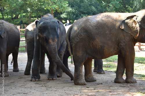 viaje a sri lanka