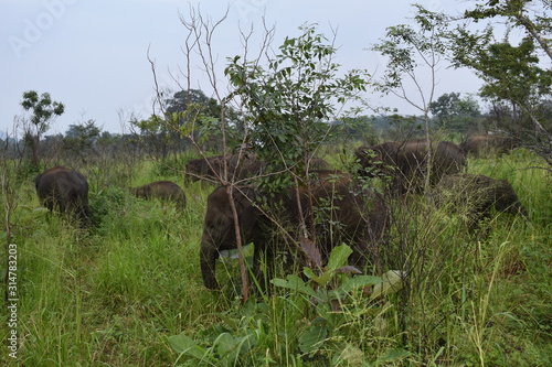 viaje a sri lanka