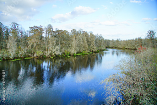 Fototapeta Naklejka Na Ścianę i Meble -  Beautiful Florida swamp winter landscape	
