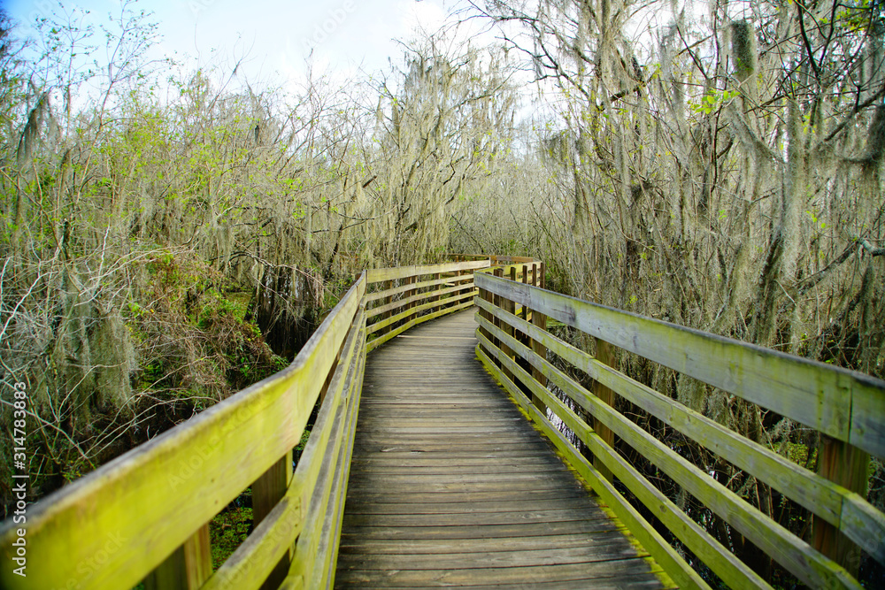 the winter landscape of florida