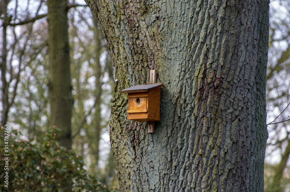 wooden birdhouse on a tree in the forest and park wooden birdhouse on a tree in the forest and park
