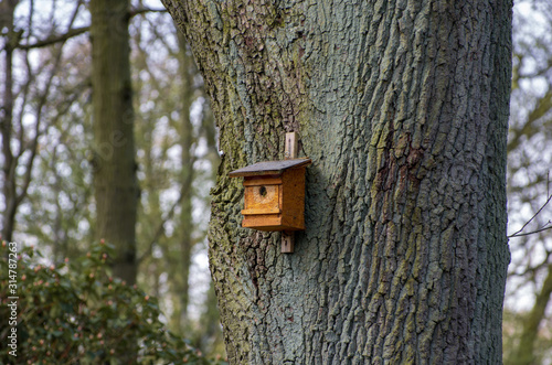 Fototapeta Naklejka Na Ścianę i Meble -  wooden birdhouse on a tree in the forest and park