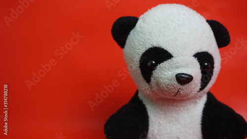 Cute panda doll