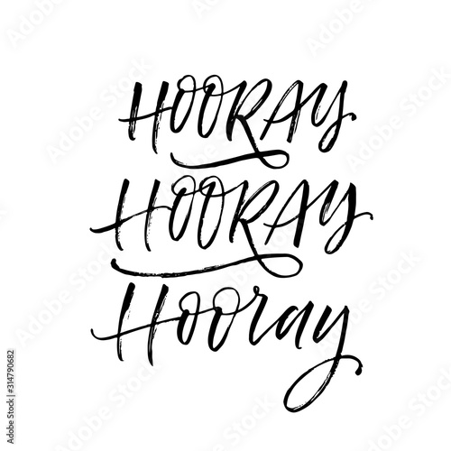 Collection of hooray phrases. Hand drawn brush style modern calligraphy. Vector illustration of handwritten lettering. 