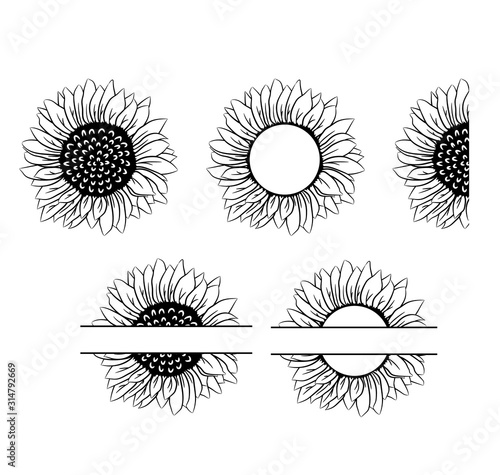 Sunflower vector set collection graphic clipart design