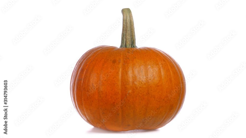 Ripe pumpkin isolated on white background. Rotate Ripe pumpkin isolated on white background. Rotate