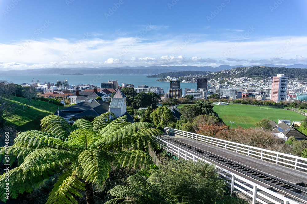 Look down the skyline of Wellington
