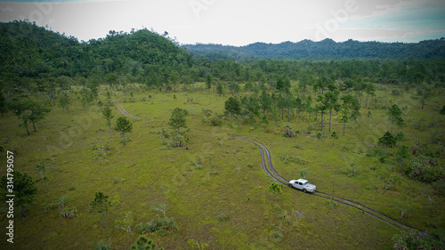 Fototapeta Naklejka Na Ścianę i Meble -  Jungle wetlands wilderness from helicopter