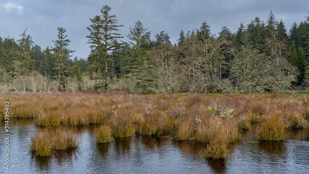 Lagoon In Western Washington State USA Lagoon In Western Washington State USA
