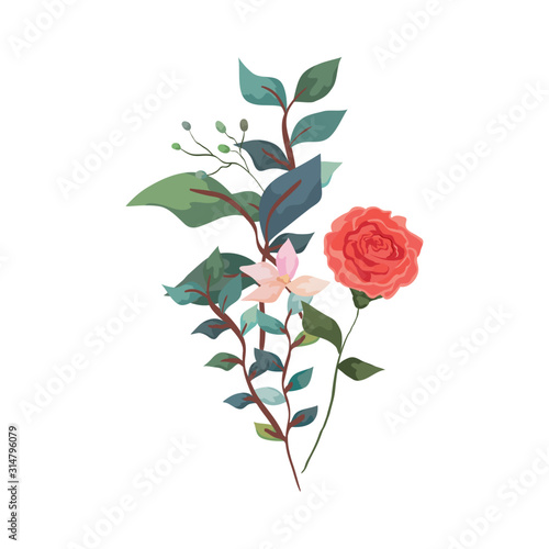 cute rose with flower and leafs design