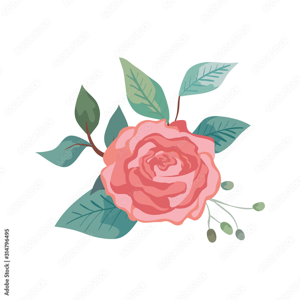 cute rose with leafs natural isolated icon vector illustration design