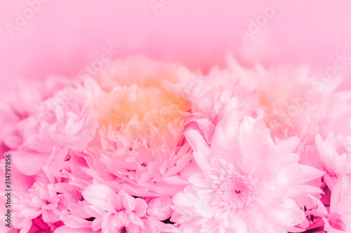 romantic flower background for valentines day or wedding day.
