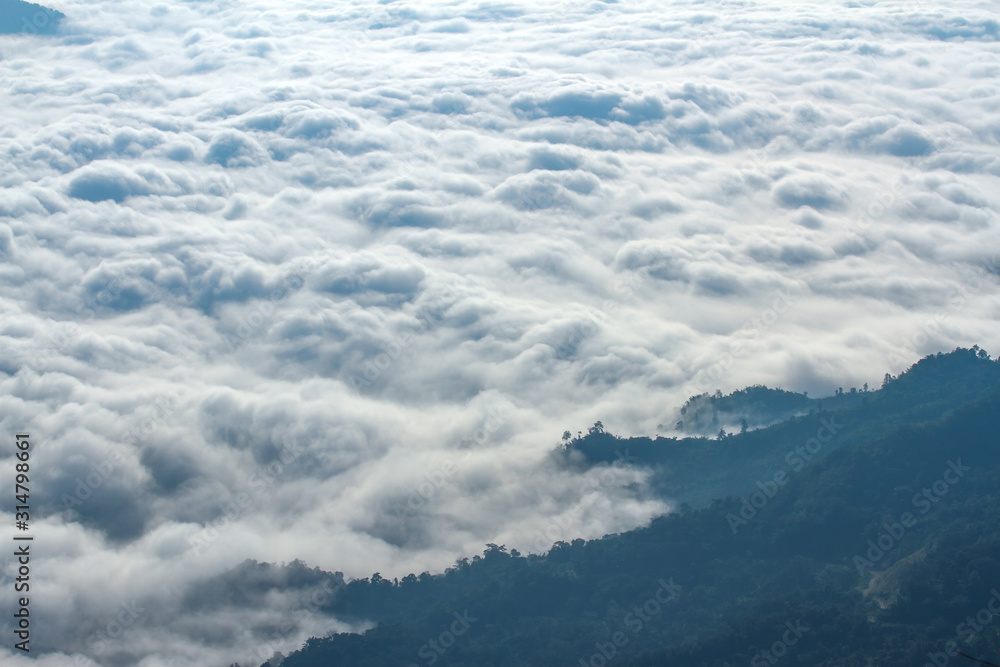 aerial view on mountain