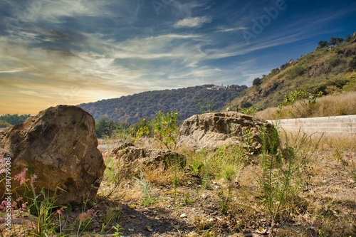 Beautiful tree and sunset in field