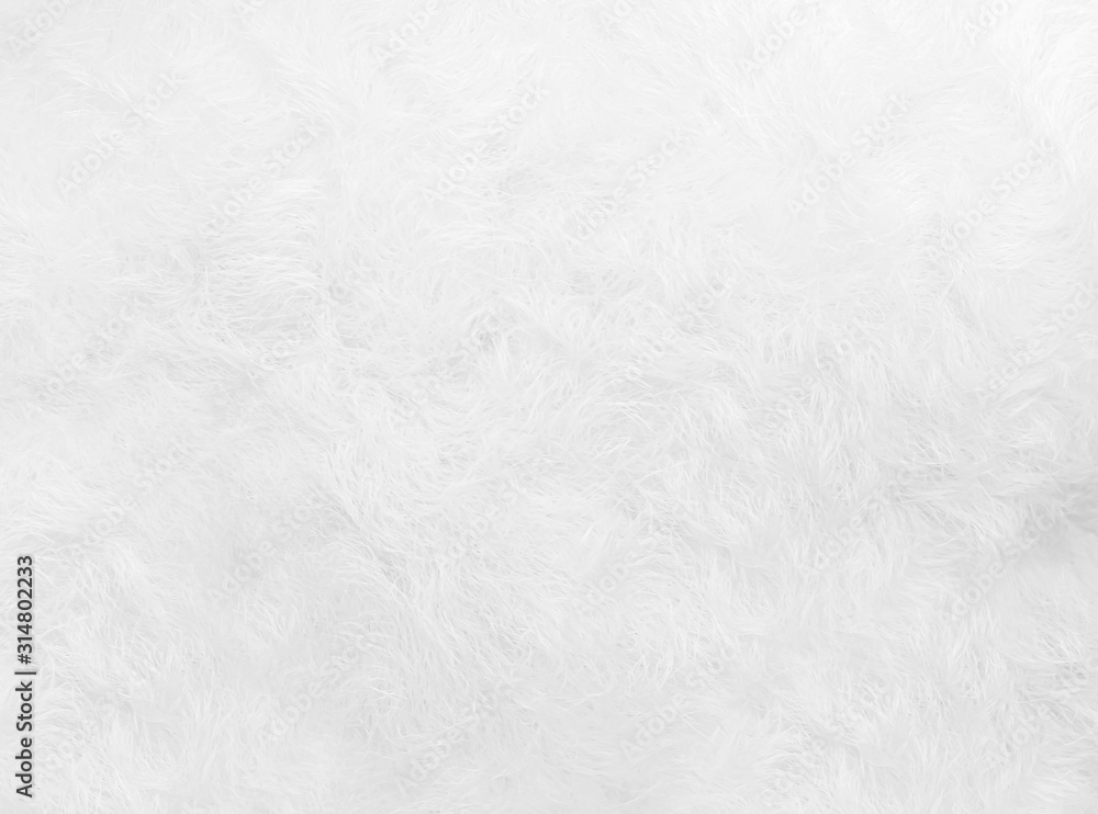 Fototapeta premium White wool texture background. Natural fluffy white fur sheep wool skin texture