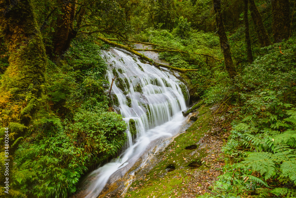waterfall in the forest waterfall in the forest