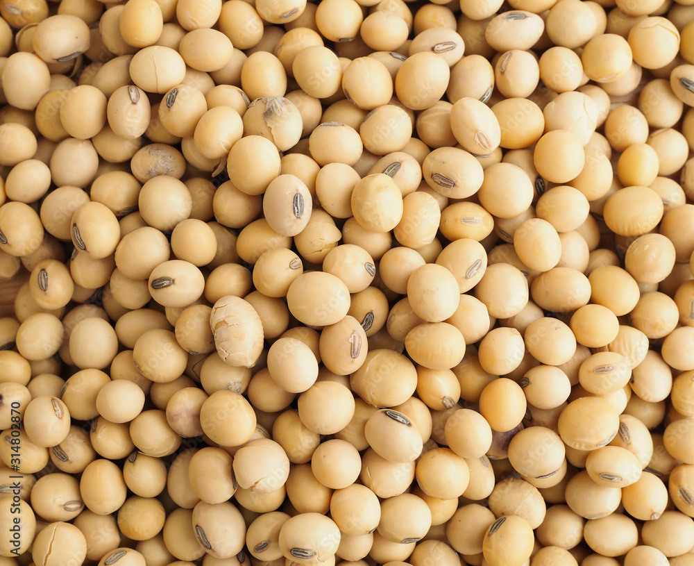 Top view of soybean texture nature background. nature food Top view of soybean texture nature background. nature food