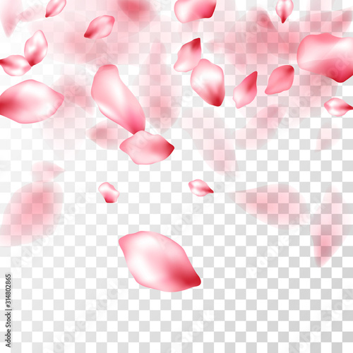 Japanese cherry petals on transparent background.