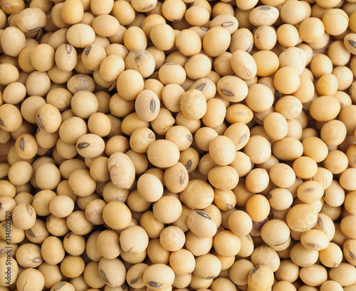Top view of soybean texture nature background. nature food