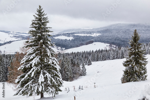 Winter alpine view. Western Tatras. Slovakia