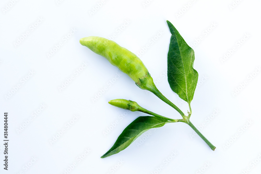 Fresh chilli isolated on a white background. Fresh chilli isolated on a white background.